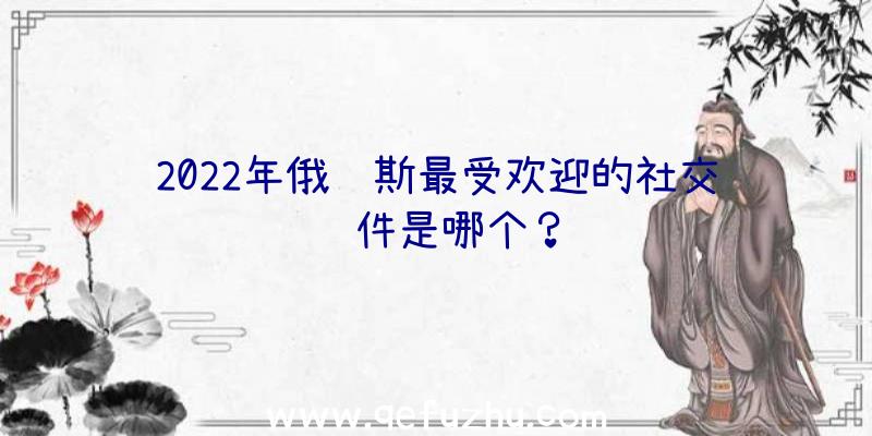 2022年俄罗斯最受欢迎的社交软件是哪个？