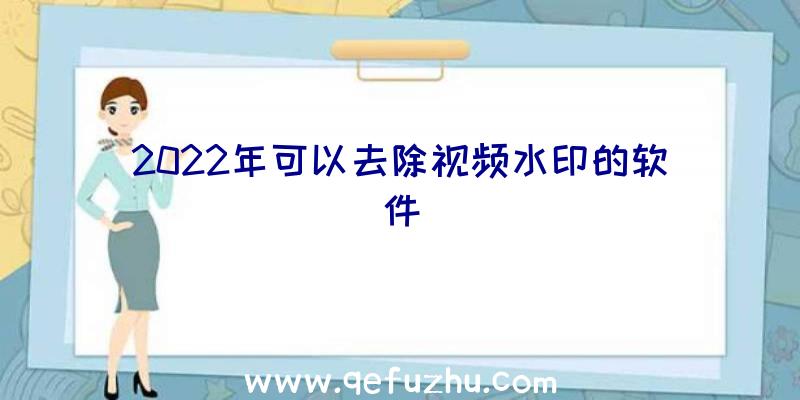 2022年可以去除视频水印的软件