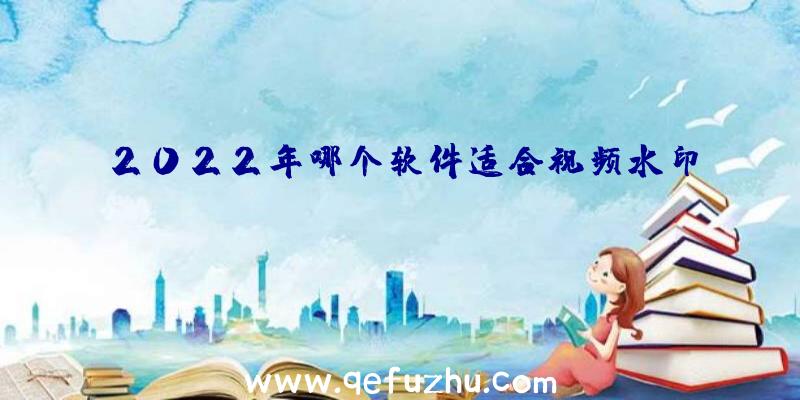 2022年哪个软件适合视频水印？