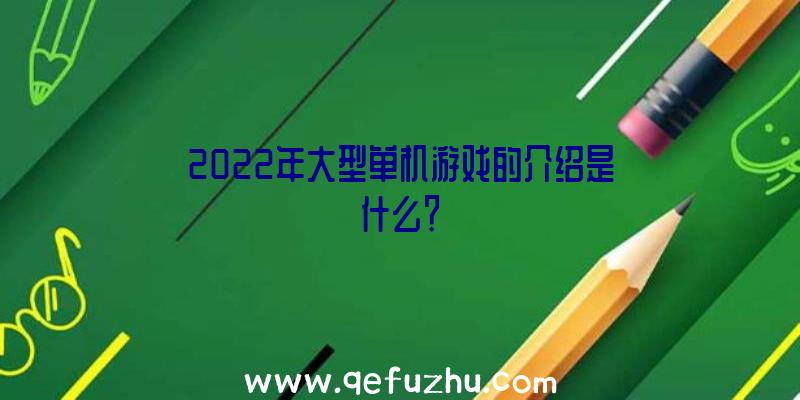 2022年大型单机游戏的介绍是什么？