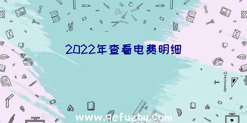 2022年查看电费明细