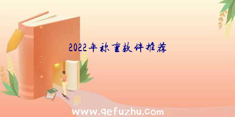 2022年称重软件推荐