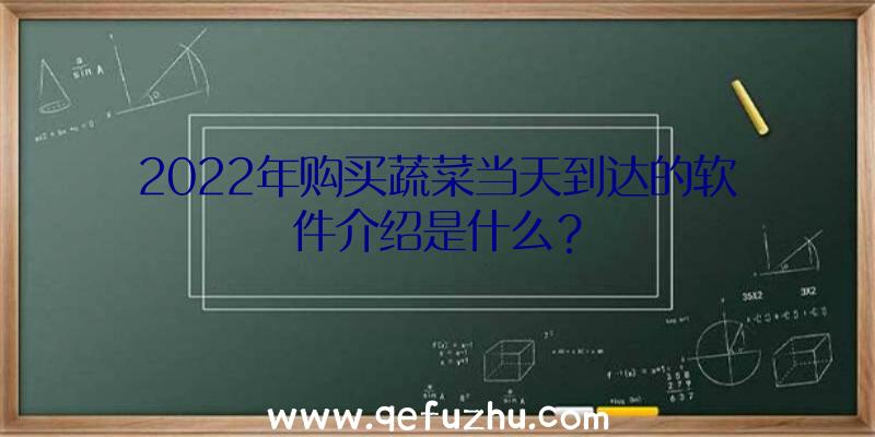 2022年购买蔬菜当天到达的软件介绍是什么？