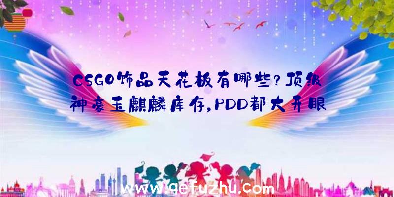 CSGO饰品天花板有哪些？顶级神豪玉麒麟库存，PDD都大开眼界