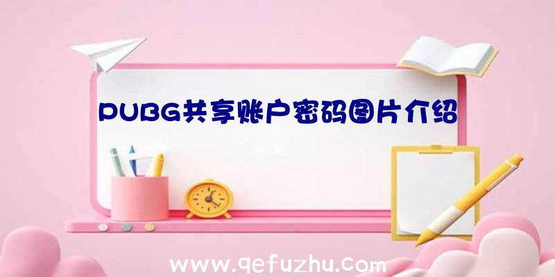 PUBG共享账户密码图片介绍