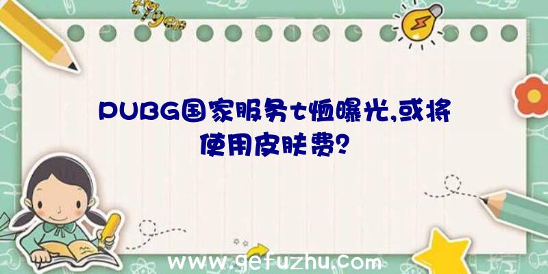 PUBG国家服务t恤曝光,或将使用皮肤费？