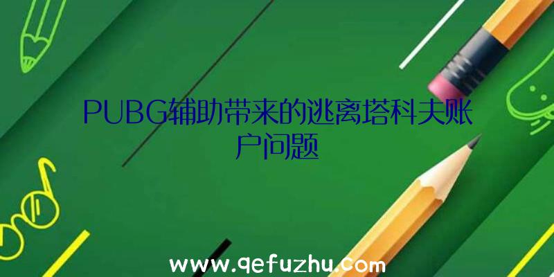 PUBG辅助带来的逃离塔科夫账户问题