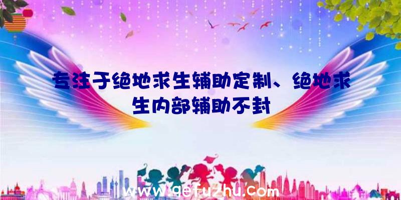 专注于绝地求生辅助定制、绝地求生内部辅助不封