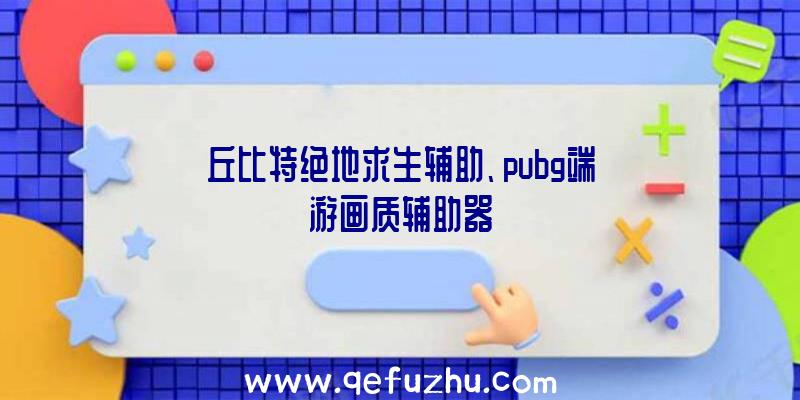 丘比特绝地求生辅助、pubg端游画质辅助器