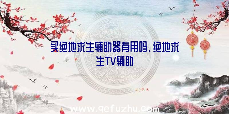 买绝地求生辅助器有用吗、绝地求生TV辅助