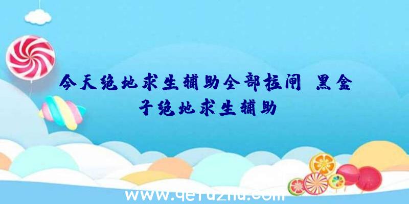 今天绝地求生辅助全部拉闸、黑盒子绝地求生辅助