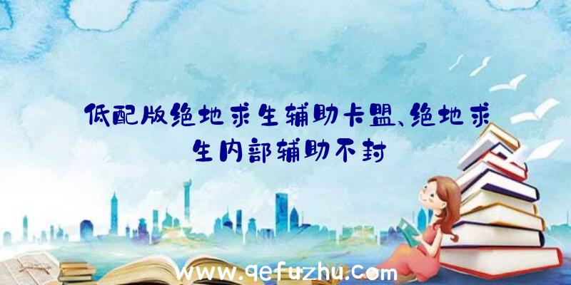 低配版绝地求生辅助卡盟、绝地求生内部辅助不封