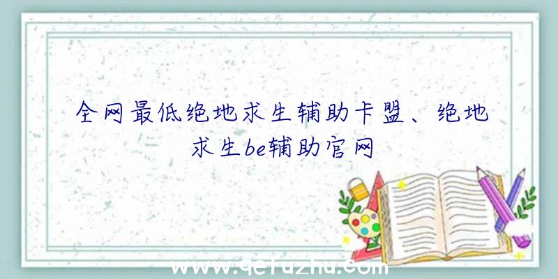 全网最低绝地求生辅助卡盟、绝地求生be辅助官网