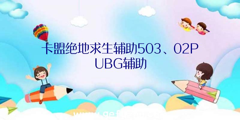 卡盟绝地求生辅助503、02PUBG辅助