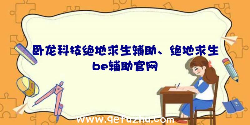 卧龙科技绝地求生辅助、绝地求生be辅助官网