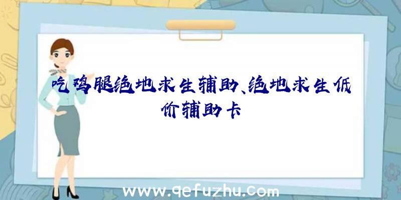 吃鸡腿绝地求生辅助、绝地求生低价辅助卡