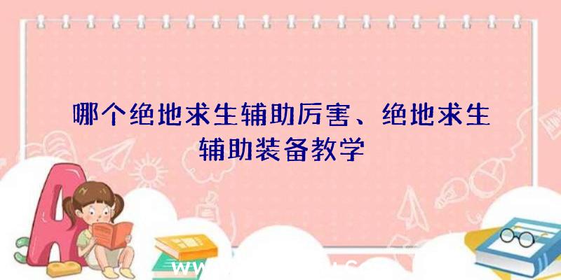 哪个绝地求生辅助厉害、绝地求生辅助装备教学