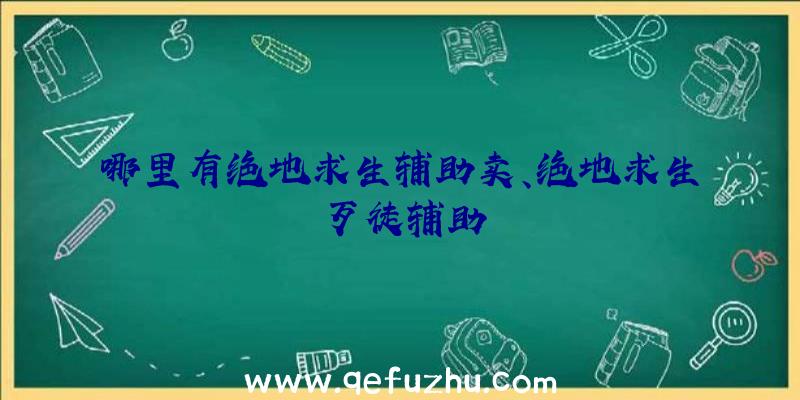 哪里有绝地求生辅助卖、绝地求生歹徒辅助