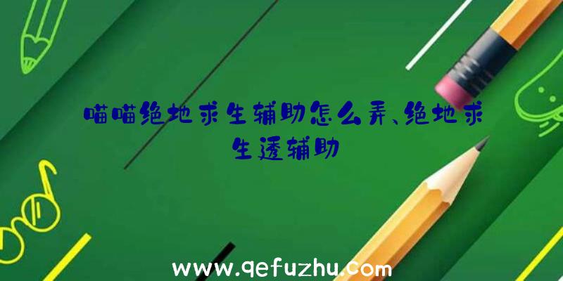 喵喵绝地求生辅助怎么弄、绝地求生透辅助