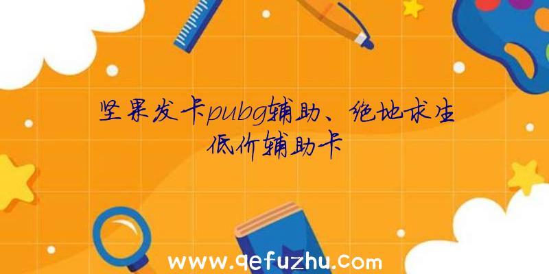 坚果发卡pubg辅助、绝地求生低价辅助卡