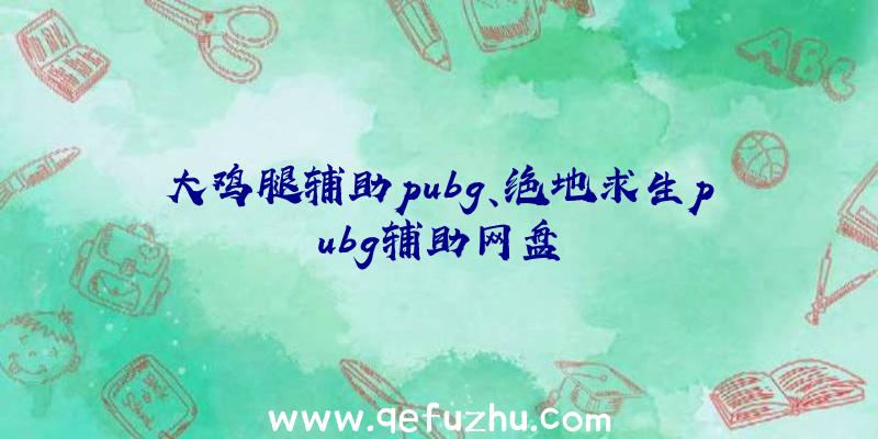 大鸡腿辅助pubg、绝地求生pubg辅助网盘