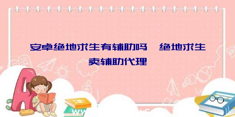 安卓绝地求生有辅助吗、绝地求生卖辅助代理