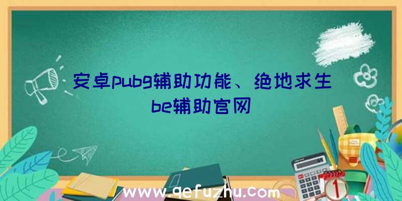 安卓pubg辅助功能、绝地求生be辅助官网