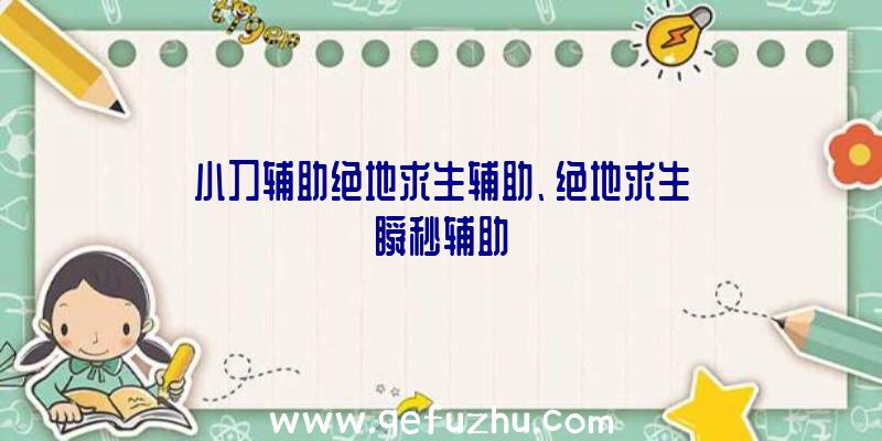 小刀辅助绝地求生辅助、绝地求生瞬秒辅助