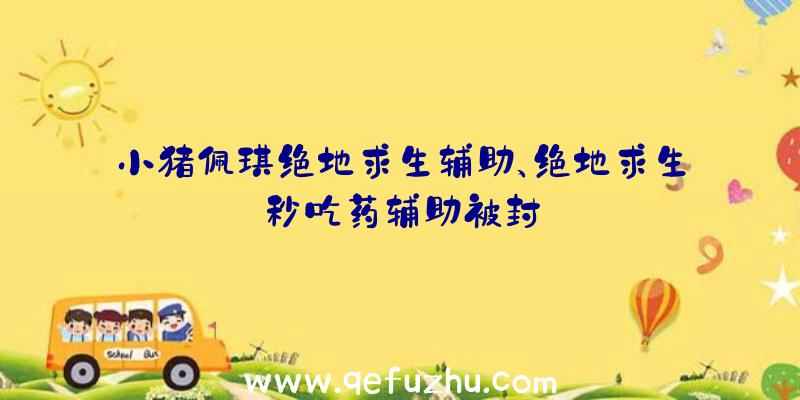 小猪佩琪绝地求生辅助、绝地求生秒吃药辅助被封