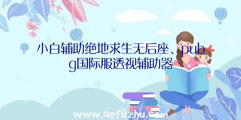 小白辅助绝地求生无后座、pubg国际服透视辅助器