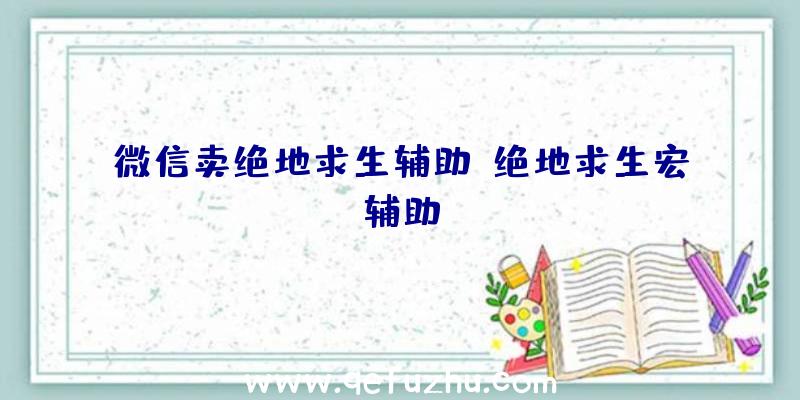 微信卖绝地求生辅助、绝地求生宏辅助