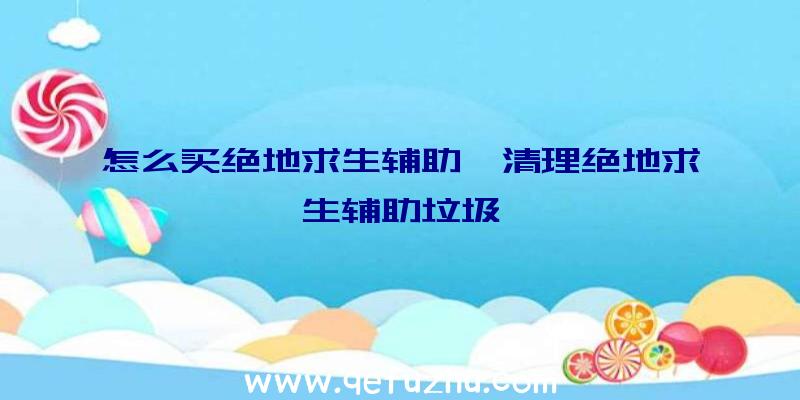 怎么买绝地求生辅助、清理绝地求生辅助垃圾