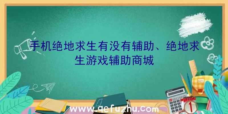 手机绝地求生有没有辅助、绝地求生游戏辅助商城