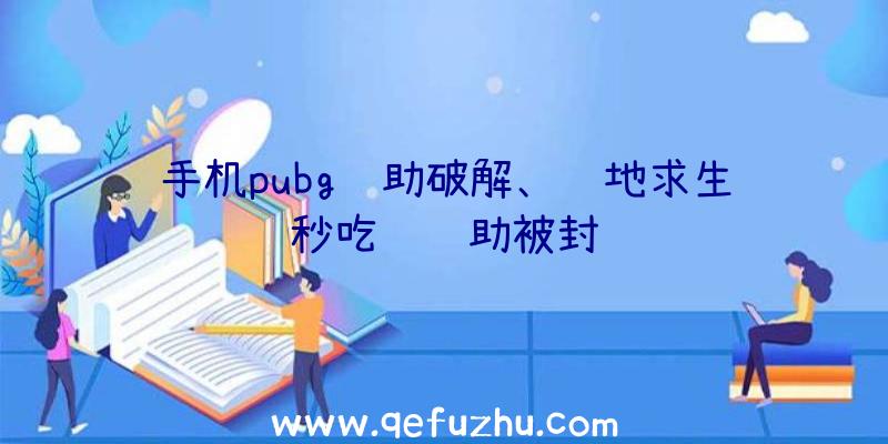 手机pubg辅助破解、绝地求生秒吃药辅助被封