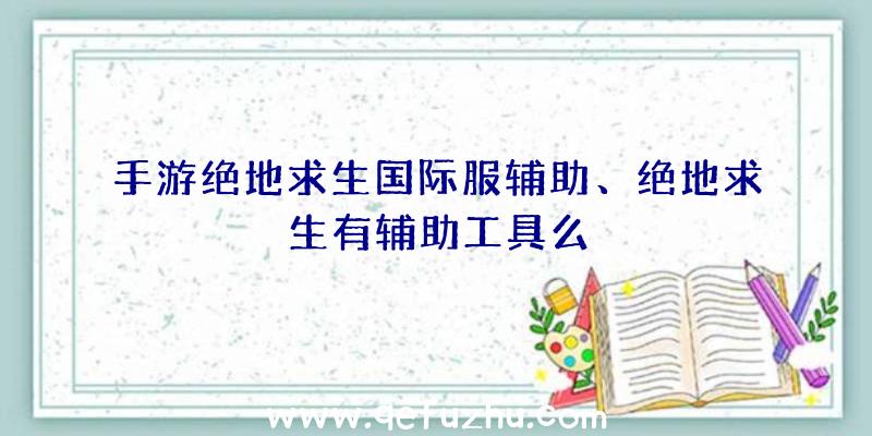 手游绝地求生国际服辅助、绝地求生有辅助工具么