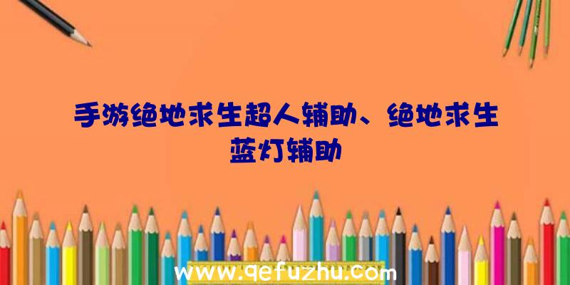 手游绝地求生超人辅助、绝地求生蓝灯辅助