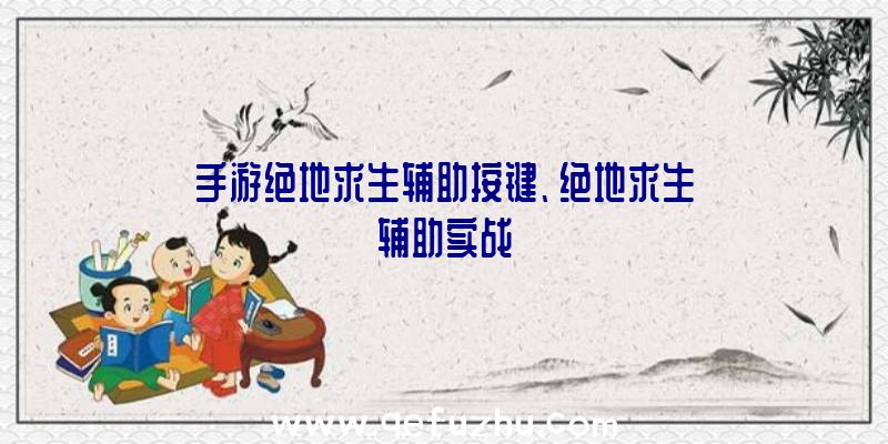 手游绝地求生辅助按键、绝地求生辅助实战