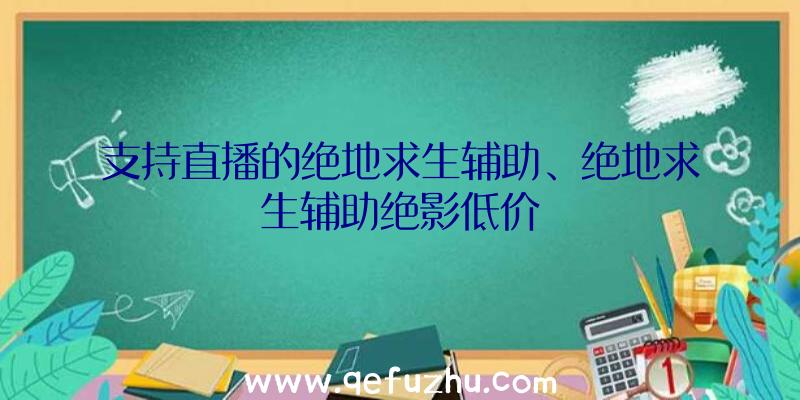 支持直播的绝地求生辅助、绝地求生辅助绝影低价