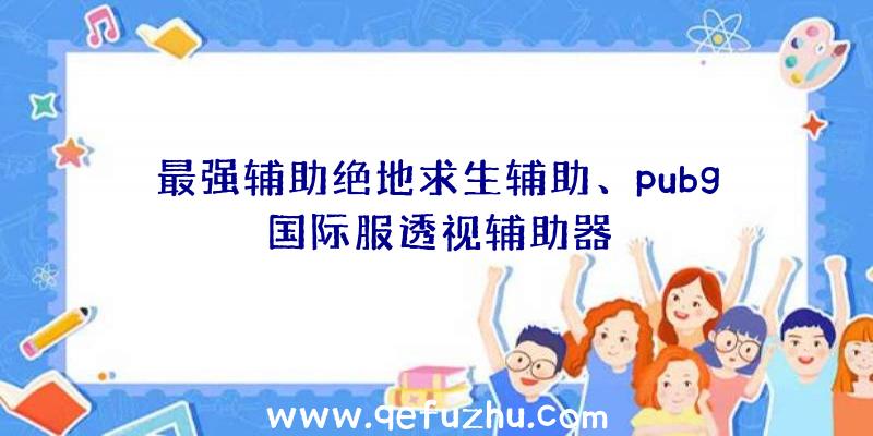 最强辅助绝地求生辅助、pubg国际服透视辅助器