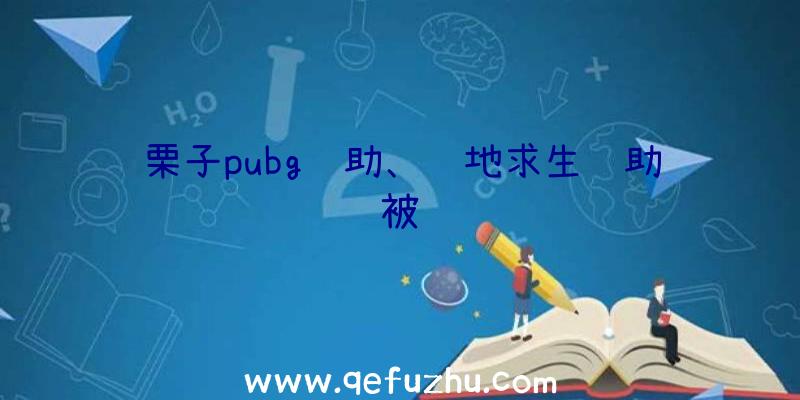 栗子pubg辅助、绝地求生辅助被骗