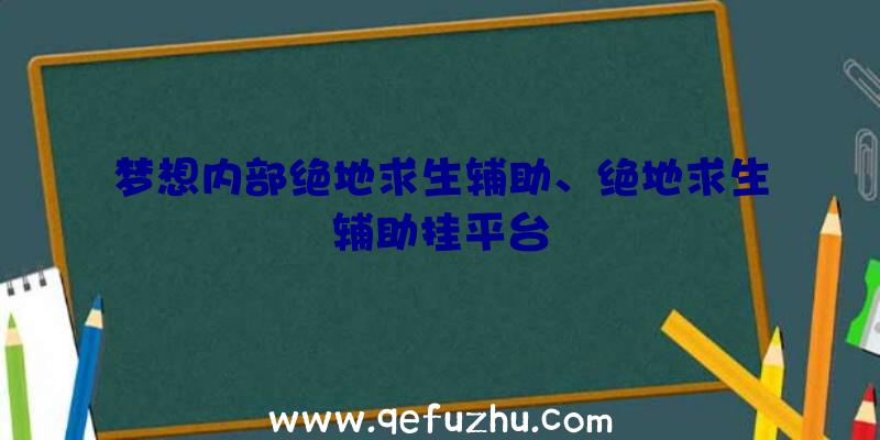 梦想内部绝地求生辅助、绝地求生辅助挂平台