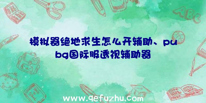 模拟器绝地求生怎么开辅助、pubg国际服透视辅助器