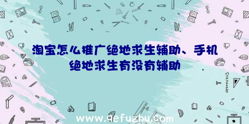 淘宝怎么推广绝地求生辅助、手机绝地求生有没有辅助