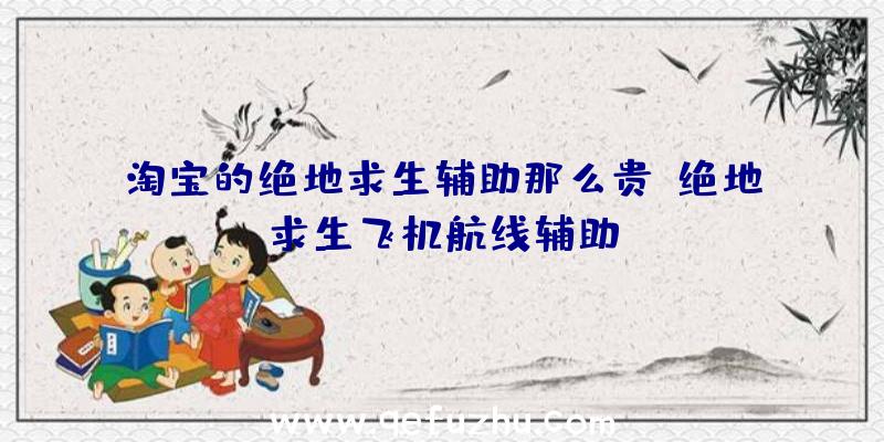 淘宝的绝地求生辅助那么贵、绝地求生飞机航线辅助