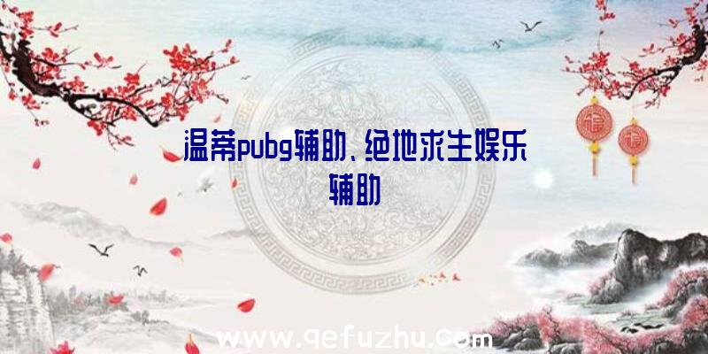 温蒂pubg辅助、绝地求生娱乐辅助