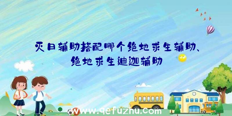 灭日辅助搭配哪个绝地求生辅助、绝地求生迪迦辅助