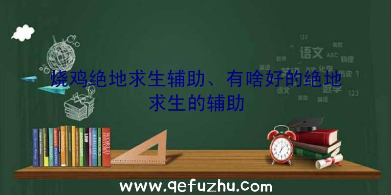 烧鸡绝地求生辅助、有啥好的绝地求生的辅助