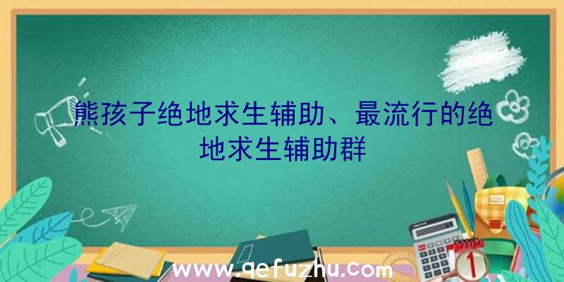 熊孩子绝地求生辅助、最流行的绝地求生辅助群