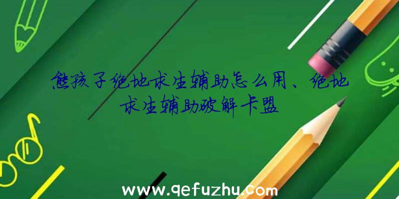 熊孩子绝地求生辅助怎么用、绝地求生辅助破解卡盟