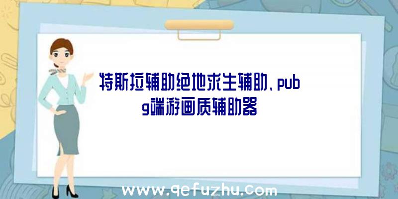 特斯拉辅助绝地求生辅助、pubg端游画质辅助器